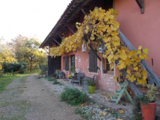 Double or Twin Room with Garden View